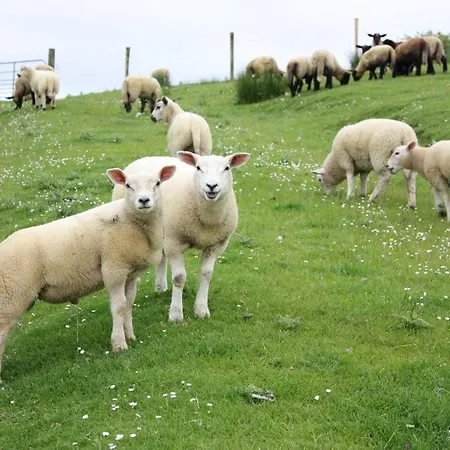 Hillview House, Donegal Town Ντόνεγκαλ