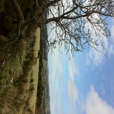 Hillview House, Donegal Town Πανσιόν Ντόνεγκαλ