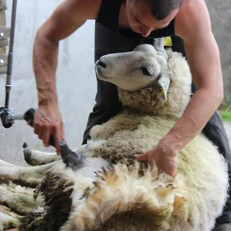 Hillview House, Donegal Town