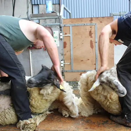 Maison d'hôtes Hillview House, Donegal Town 4*