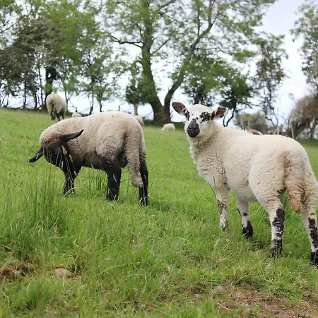 Hillview House, Donegal Town