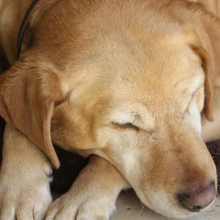 Maison d'hôtes Hillview House, Donegal Town