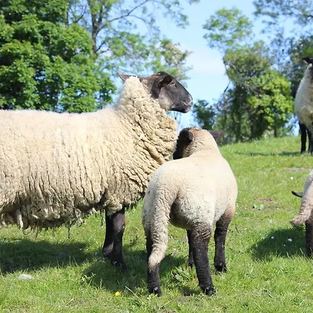 Maison d'hôtes Hillview House, Donegal Town