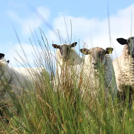 Maison d'hôtes Hillview House, Donegal Town