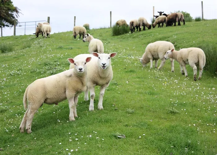 Hillview House, Donegal Town Donegal Town