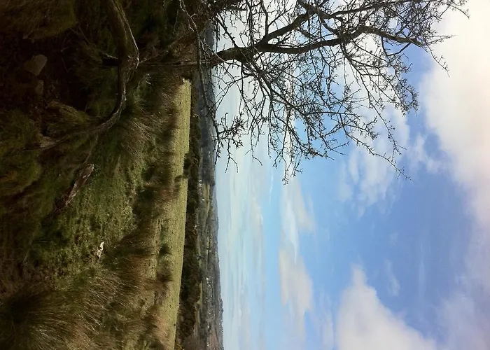 Hillview House, Donegal Town Guest house Donegal Town