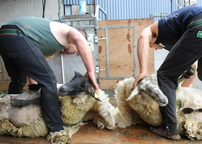 Guest house Hillview House, Donegal Town 4*