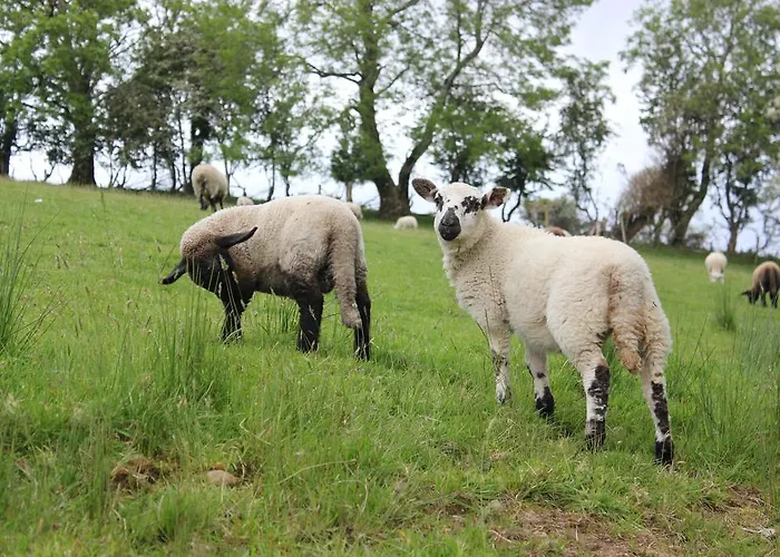 Hillview House, Donegal Town